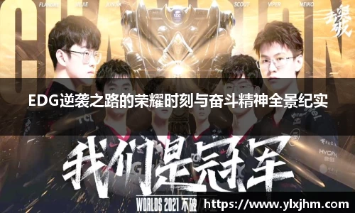 EDG逆袭之路的荣耀时刻与奋斗精神全景纪实