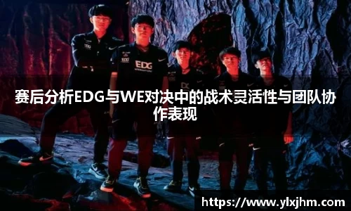赛后分析EDG与WE对决中的战术灵活性与团队协作表现